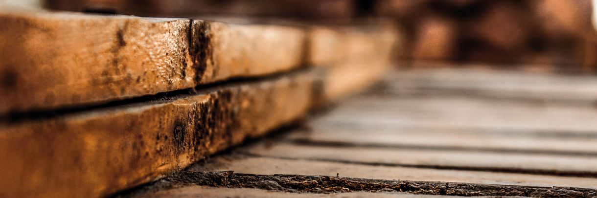 terrasse dalle béton